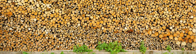 Firewood: local, natural energy
