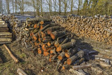 Quel bois pour un poêle à bois : choisir, sécher et stocker correctement