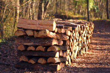 Bois de chauffage : comment le stocker et le faire sécher correctement