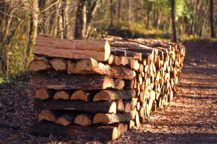 Bois de chauffage : comment le stocker et le faire sécher correctement